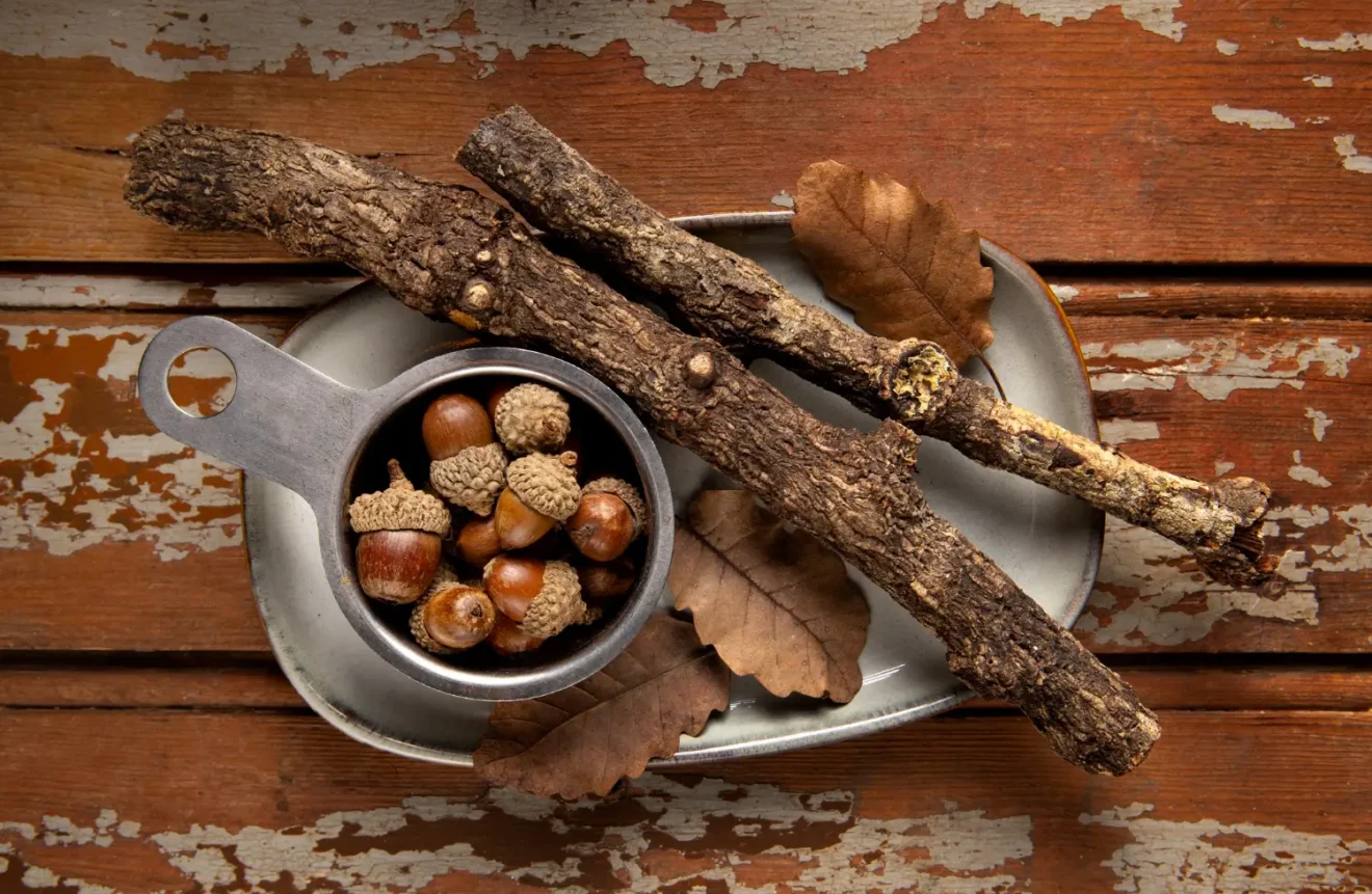 Finding Calm in the Chaos: Why Whole Ashwagandha Roots Are the Ultimate Adaptogen